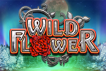 Wild Flower
