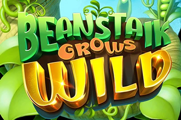 Beanstalk Grows Wild